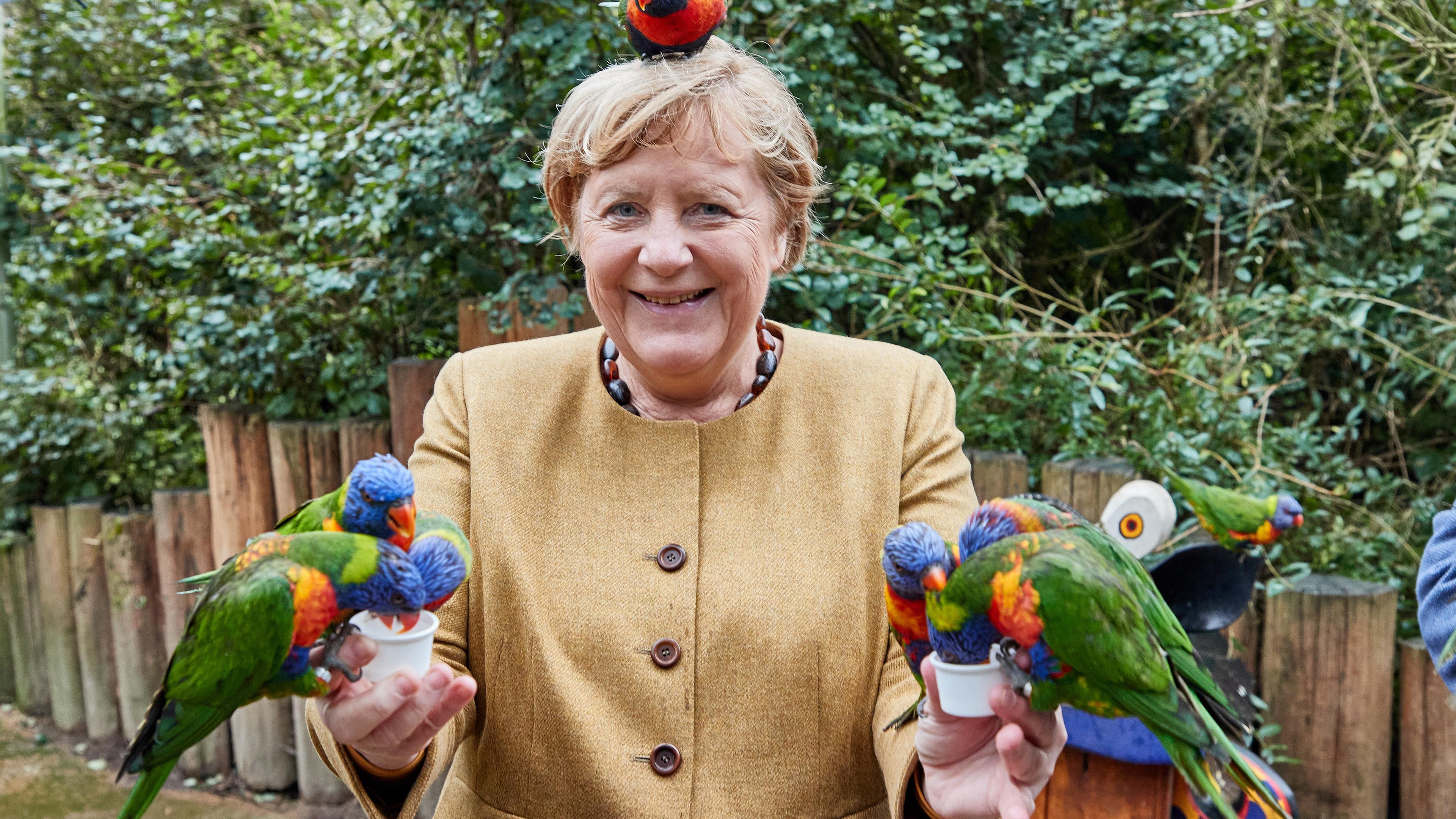 Merkel