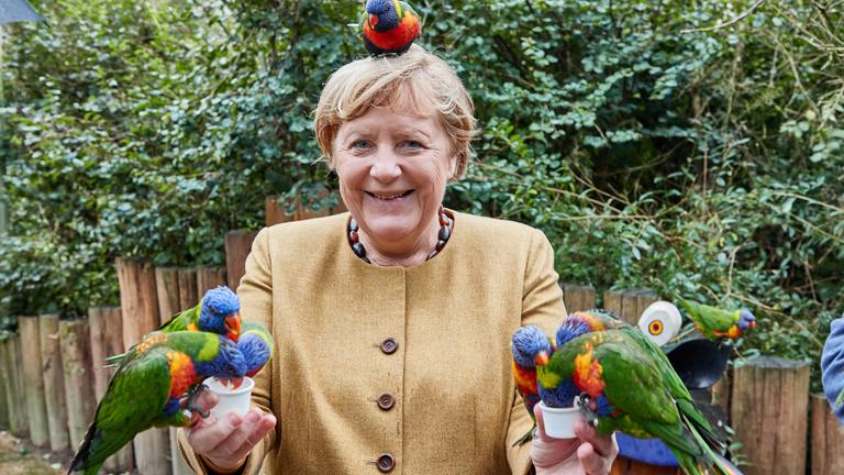 Merkel