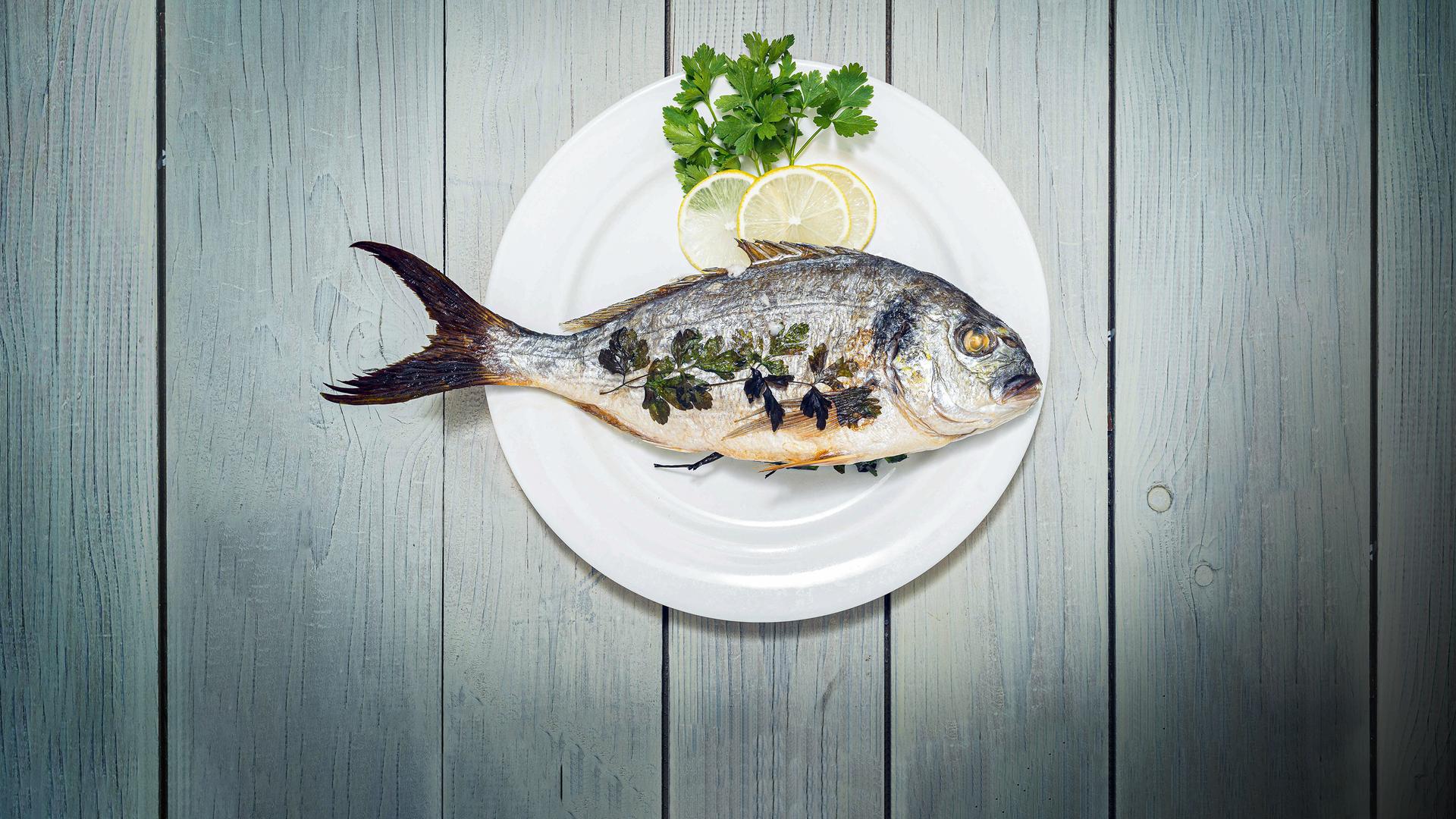 Nahaufnahme von Fisch (Seebrasse) mit Petersilie und Zitrone in Teller auf Holztisch.