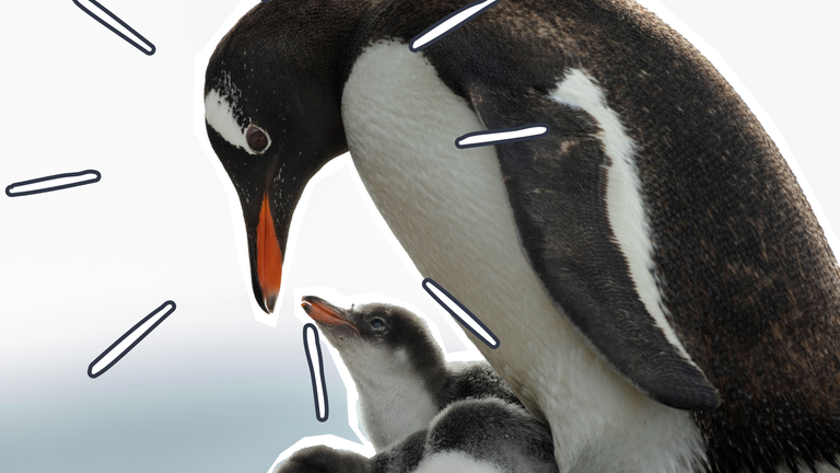 241016-antarktis-kommission-thumb