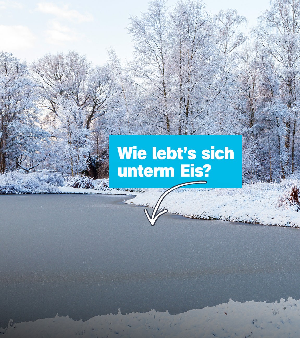Gefrorener See in Winterlandschaft, darauf Schrift "Wie let's sich unter'm Eis" mit Pfeil