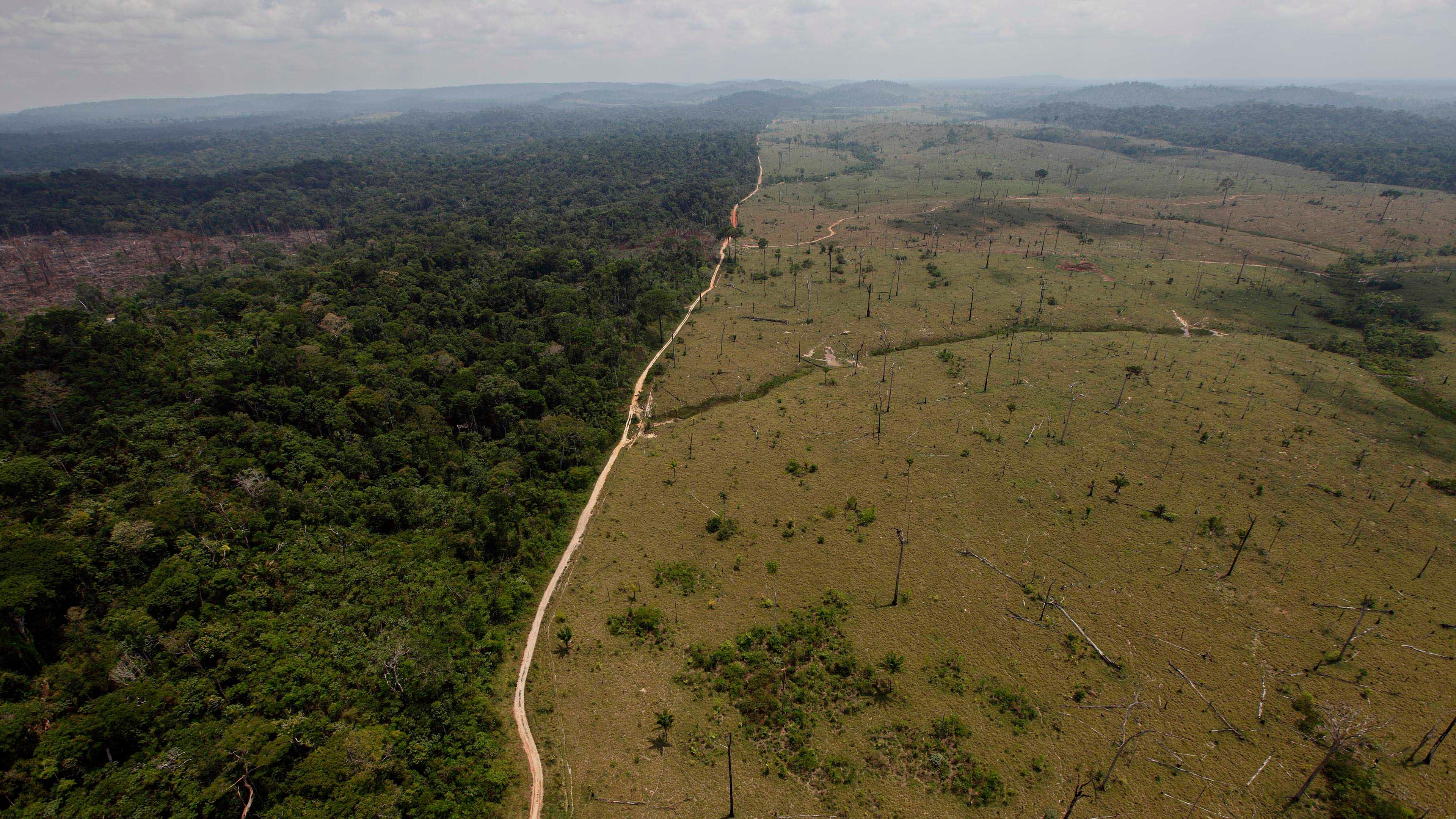 Abgeholzter Regenwald in Brasilien