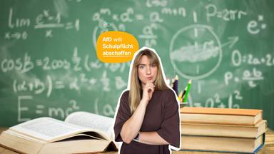 Thumbnail Reel: Johanna steht nachdenklich vor der Schultafel.