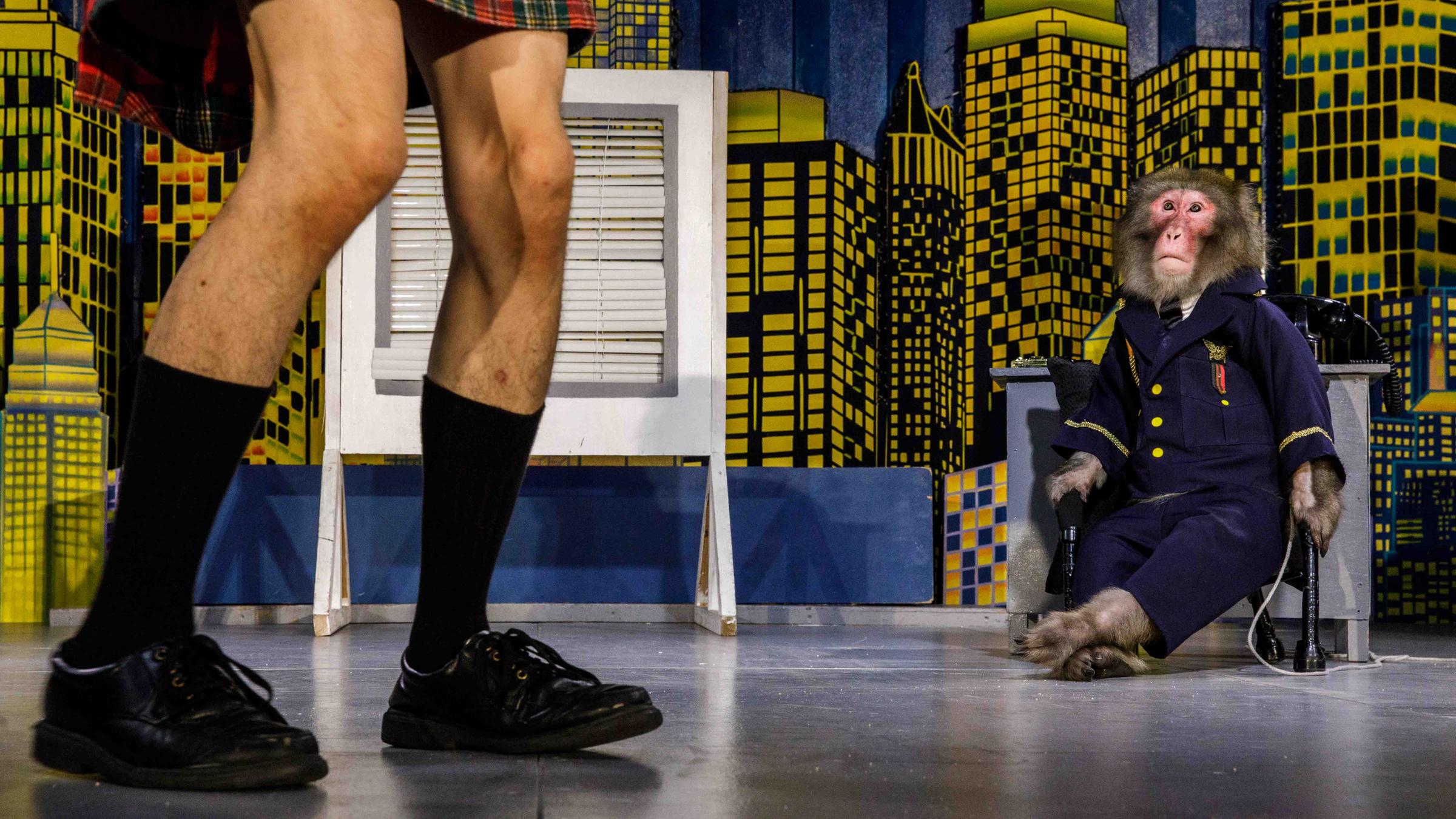 Kategorie: Wildlife Photojournalist Story Award