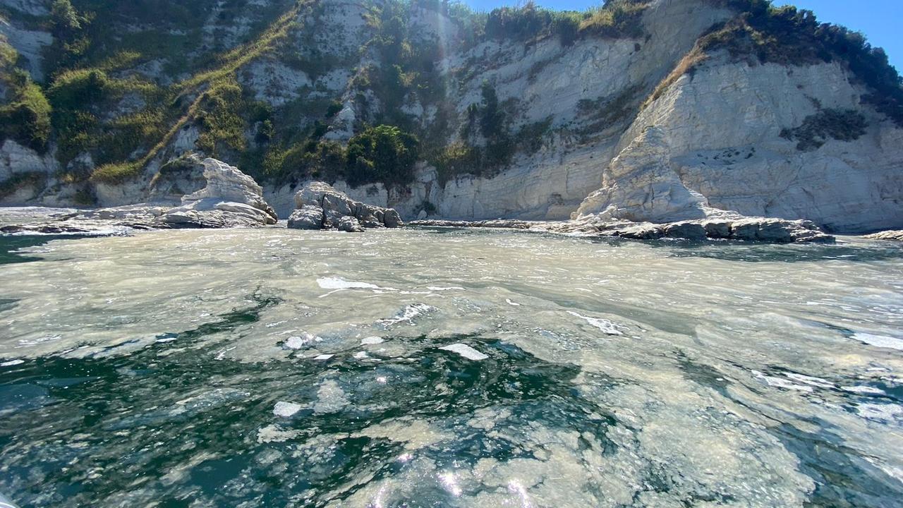 Algenschleim auf der Adria 