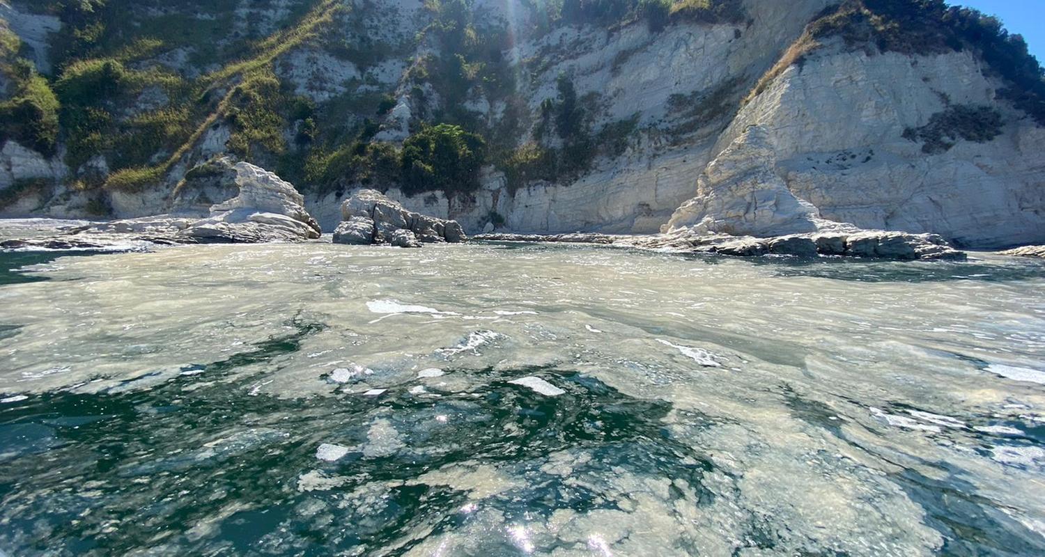 Algenschleim auf der Adria 