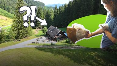 Schule auf der Alm