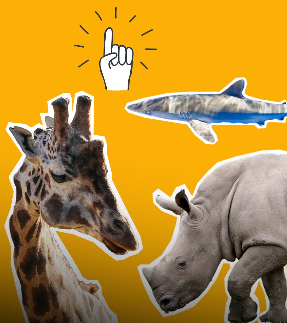 Nashorn, Elefant, Hai und Giraffe ausgeschnitten auf gelben Hintergrund, darüber schützende Hände