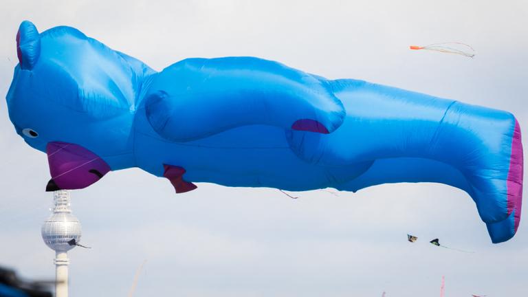 Blauer Bär-Drachen fliegt über Berlin.