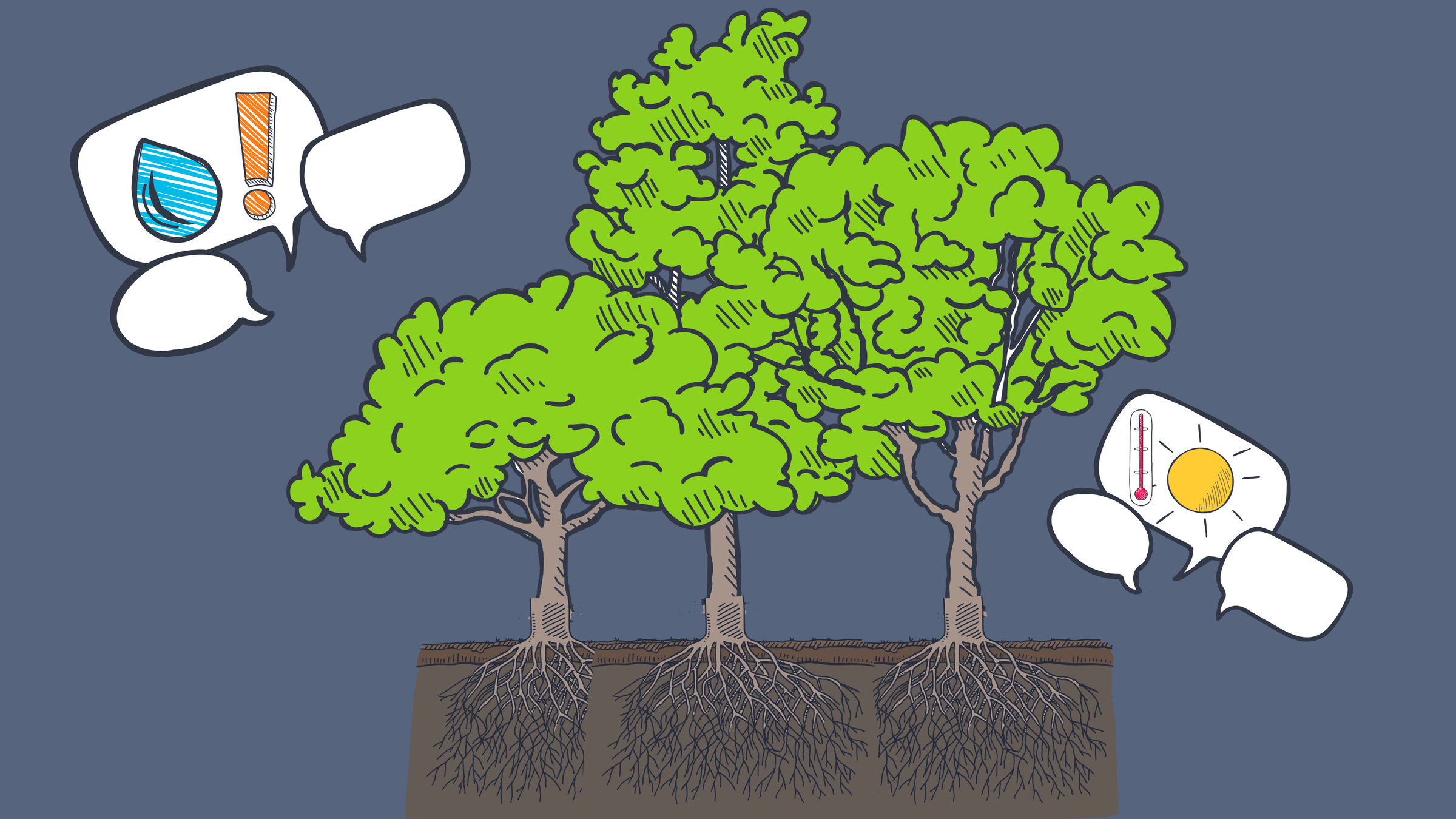 12 Fakten über Bäume!