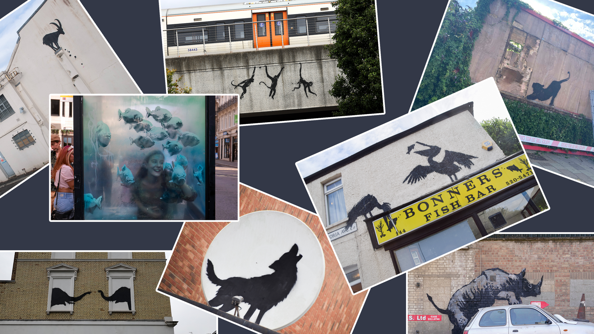 Alle Banksy Werke, die in den letzten acht Tagen in London aufgetaucht sind. 