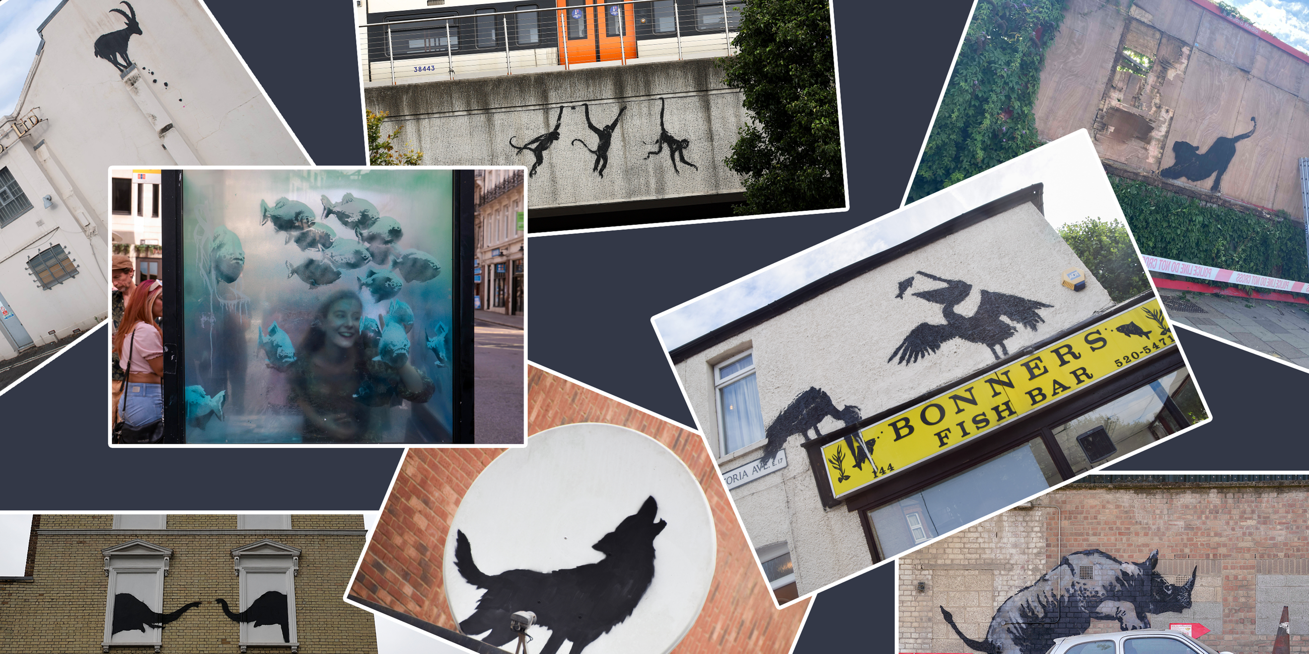 Alle Banksy Werke, die in den letzten acht Tagen in London aufgetaucht sind. 