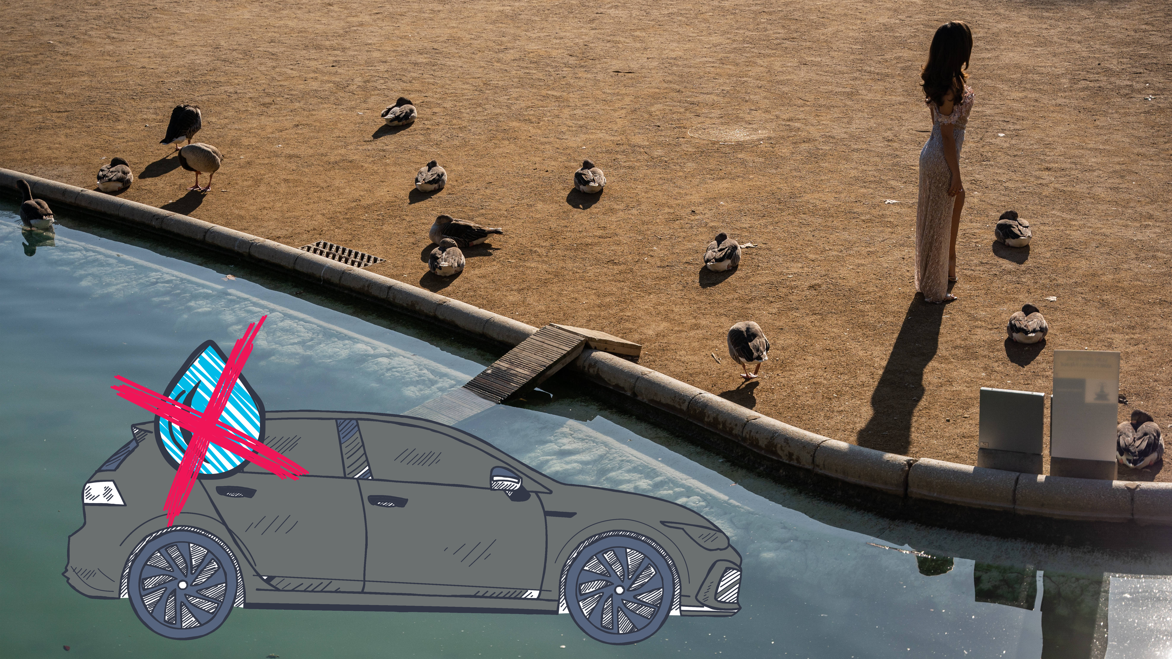 Genauso wie Straßen und Bürgersteige dürfen die nicht mehr mit Wasser gewaschen werden. Für Pools, Gärten und Parks darf nur noch wieder aufbereitetes Wasser verwendet werden. Besonders hart …