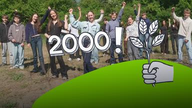 Eine Million Bäume für NRW 