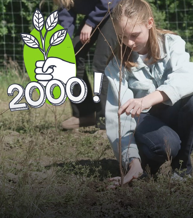 Eine Million Bäume für NRW 