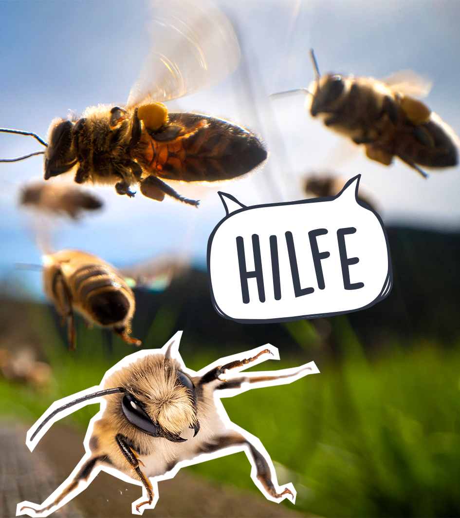 Fliegende Bienen mit Hilfe-Sprechblase