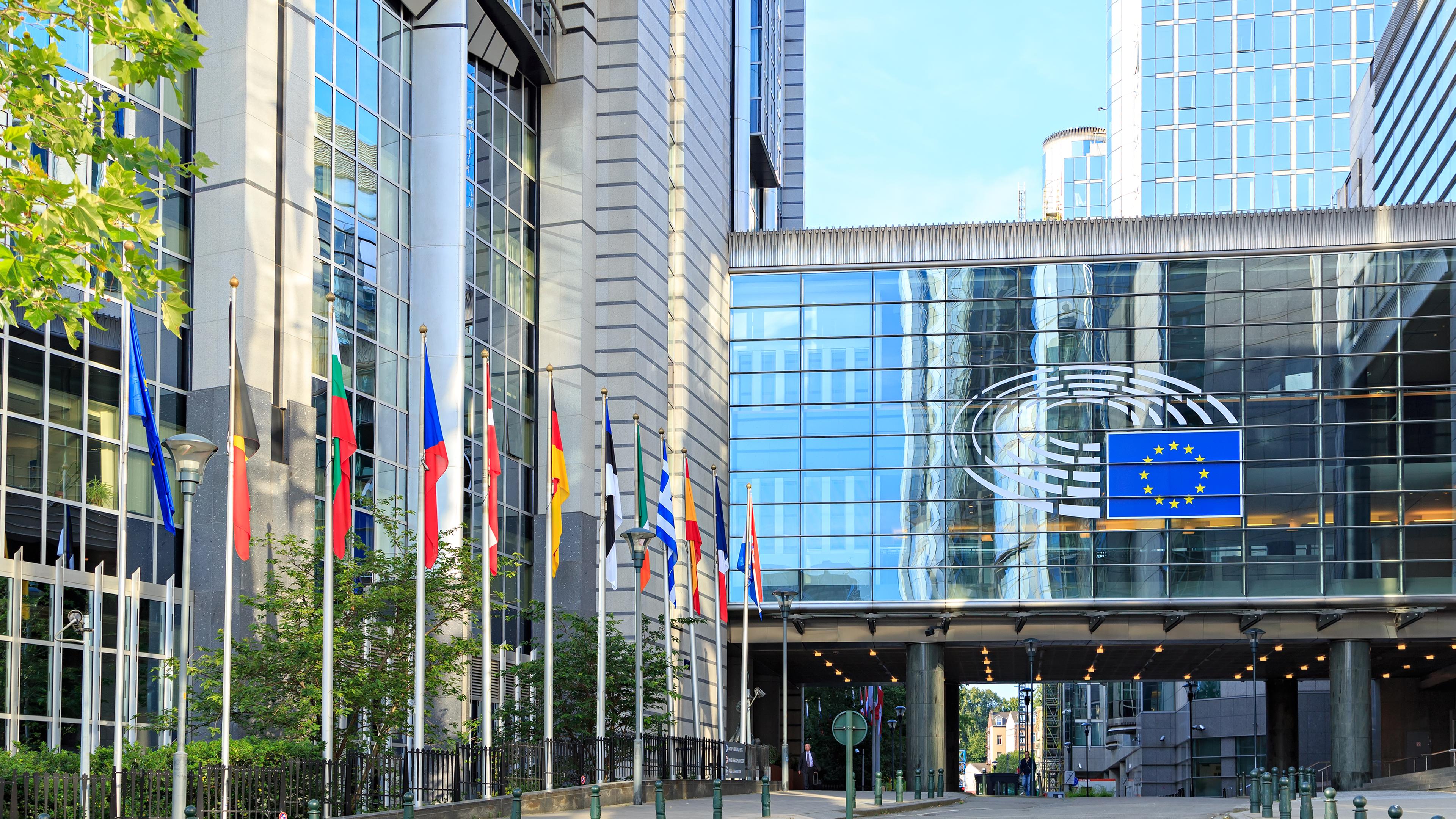 Ein Haus mit vielen Europäischen Flaggen davor