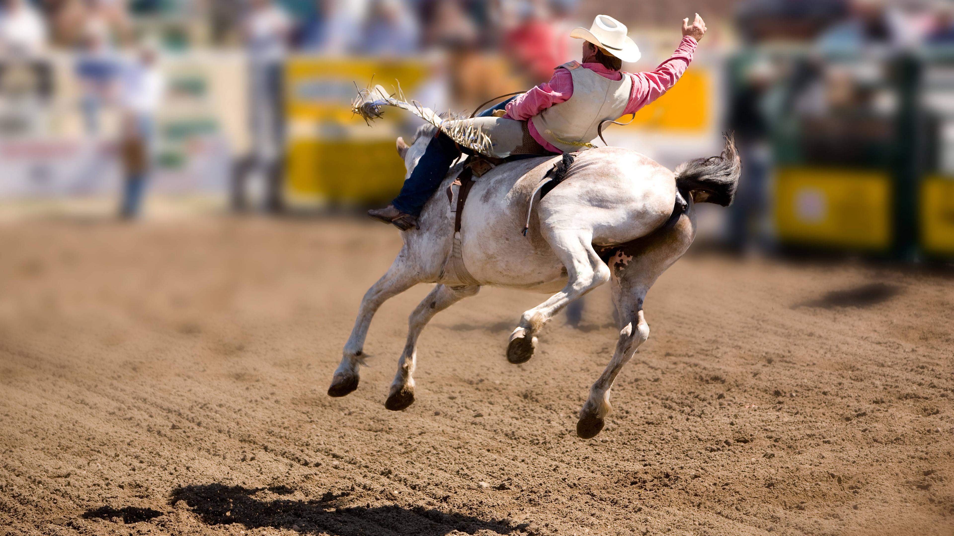 Cowboy sitzt auf einem Pferd.