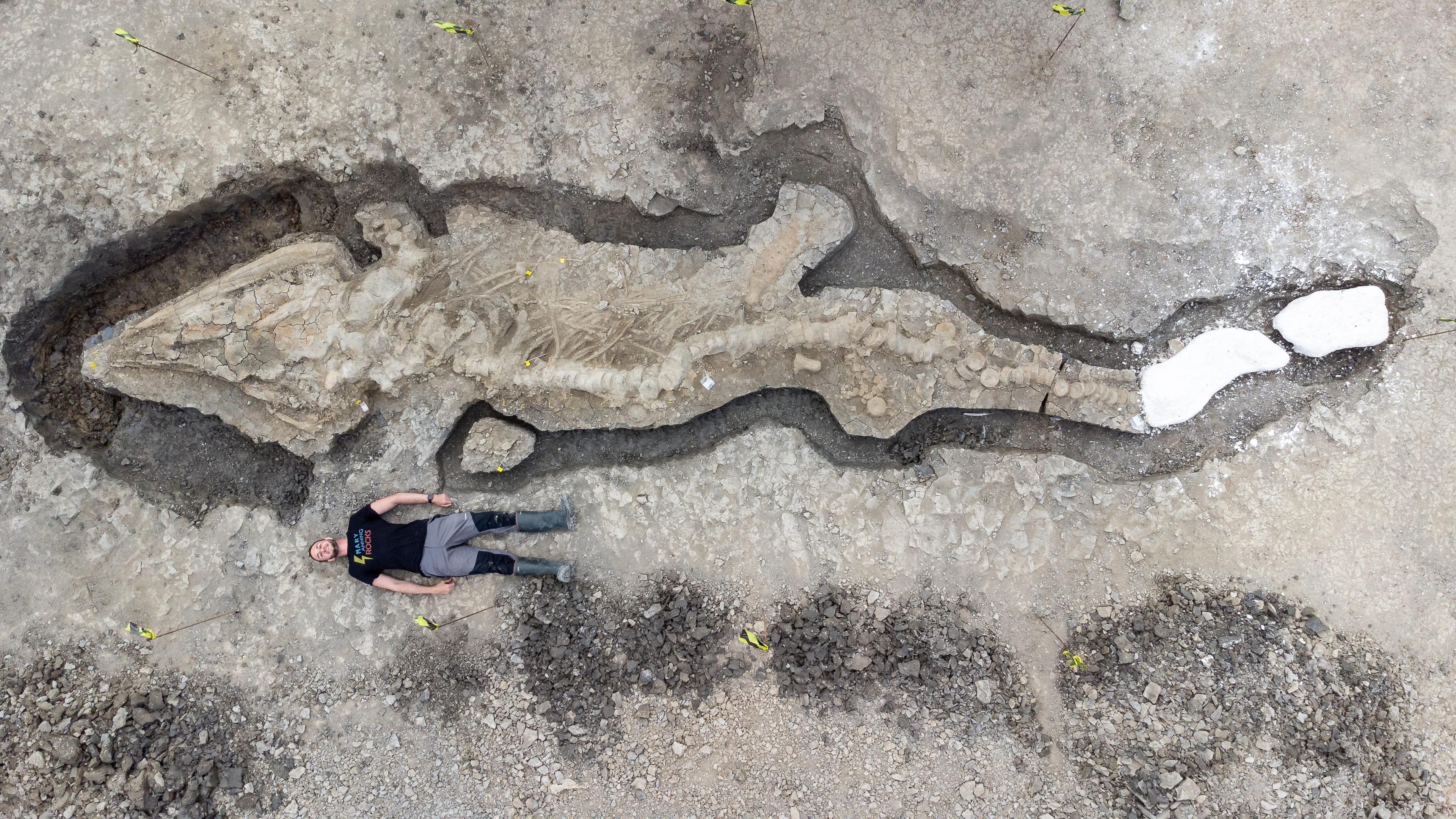 Wissenschaftler liegt neben Fossil eines Ichthyosaurus.