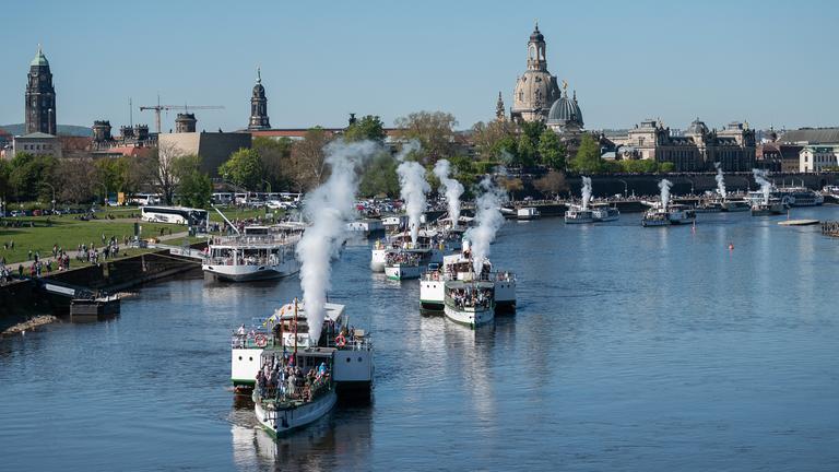 Die Elbdampfer starten zur Flottenparade der Sächsischen Dampfschifffahrt auf der Elbe.