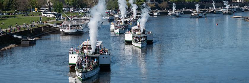 Die Elbdampfer starten zur Flottenparade der Sächsischen Dampfschifffahrt auf der Elbe.