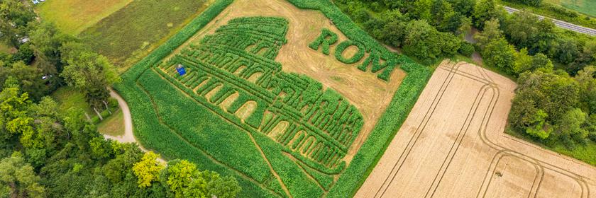 Das Luftbild eines Labyrinths im Pflanzenfeld zeigt das Kolosseum und den Schriftzug "ROM".
