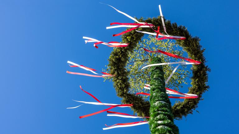Bunte Bänder flattern an einem Maibaum im Wind