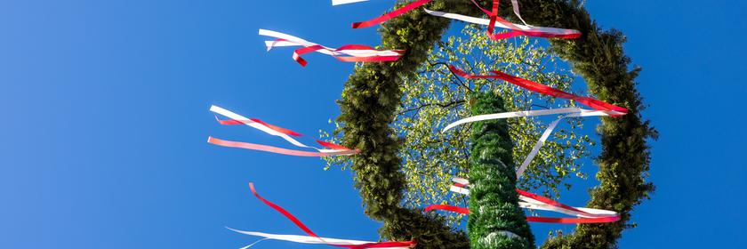 Bunte Bänder flattern an einem Maibaum im Wind