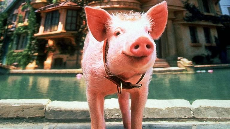 Filmszene: Ein Schwein mit Halsband steht vor einem Hotel und guckt lächelnd in die Kamera. 