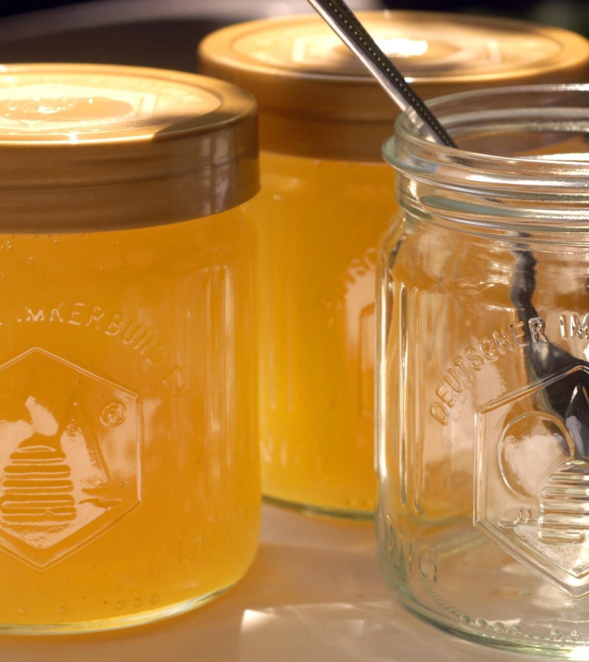 Faktencheck Ernährung