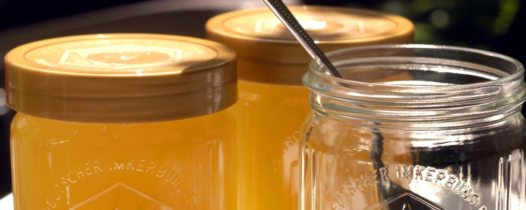 Faktencheck Ernährung