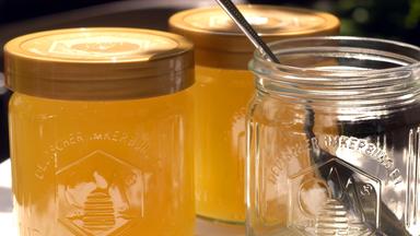 Faktencheck Ernährung