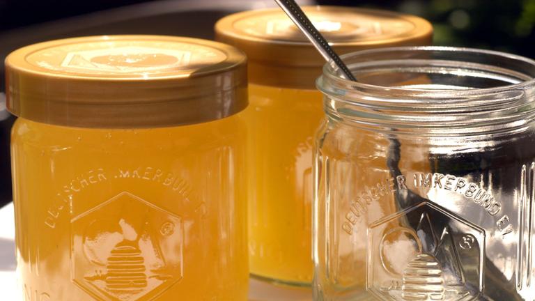 Faktencheck Ernährung