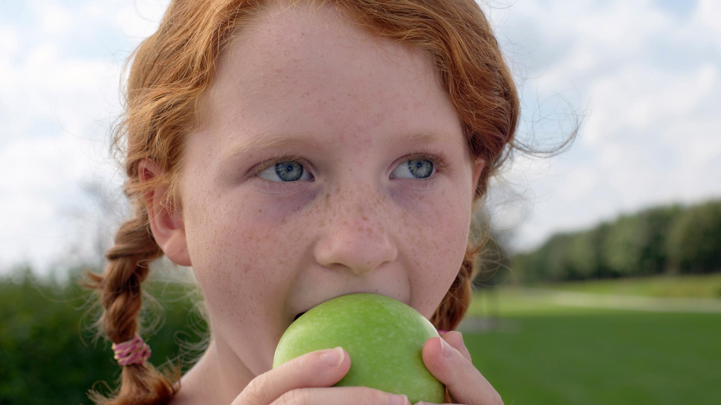 Faktencheck Ernährung