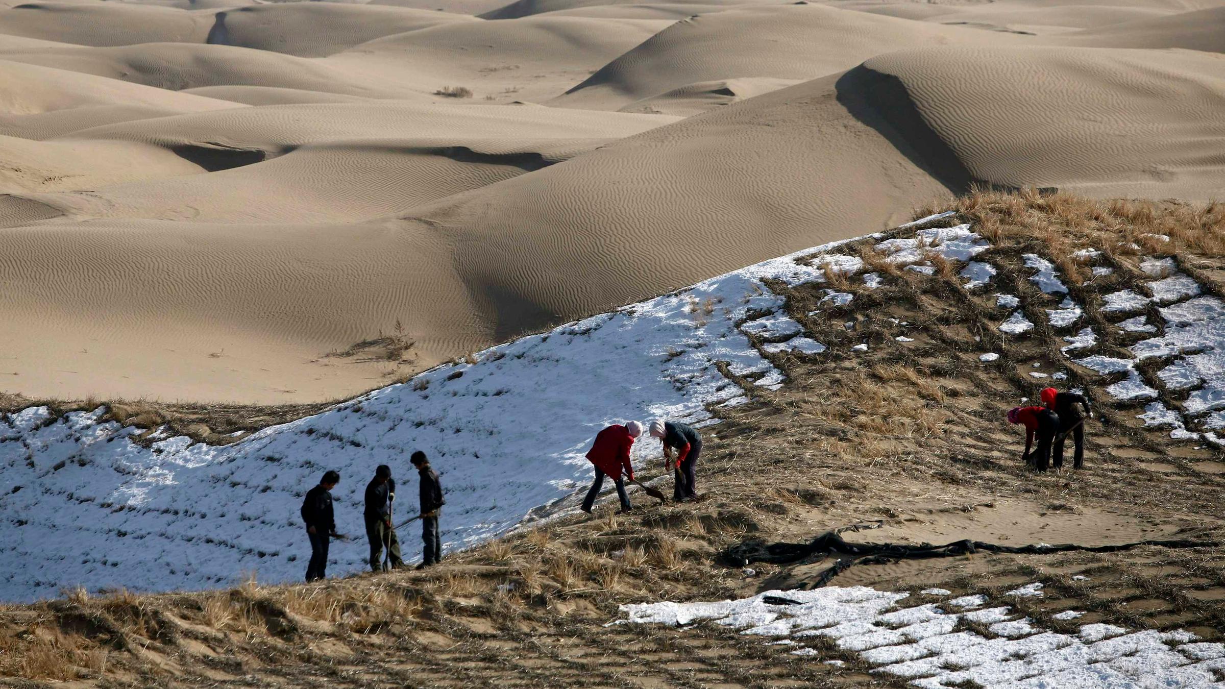 Durch die Trockenheit breiten sich die Wüsten immer weiter aus.