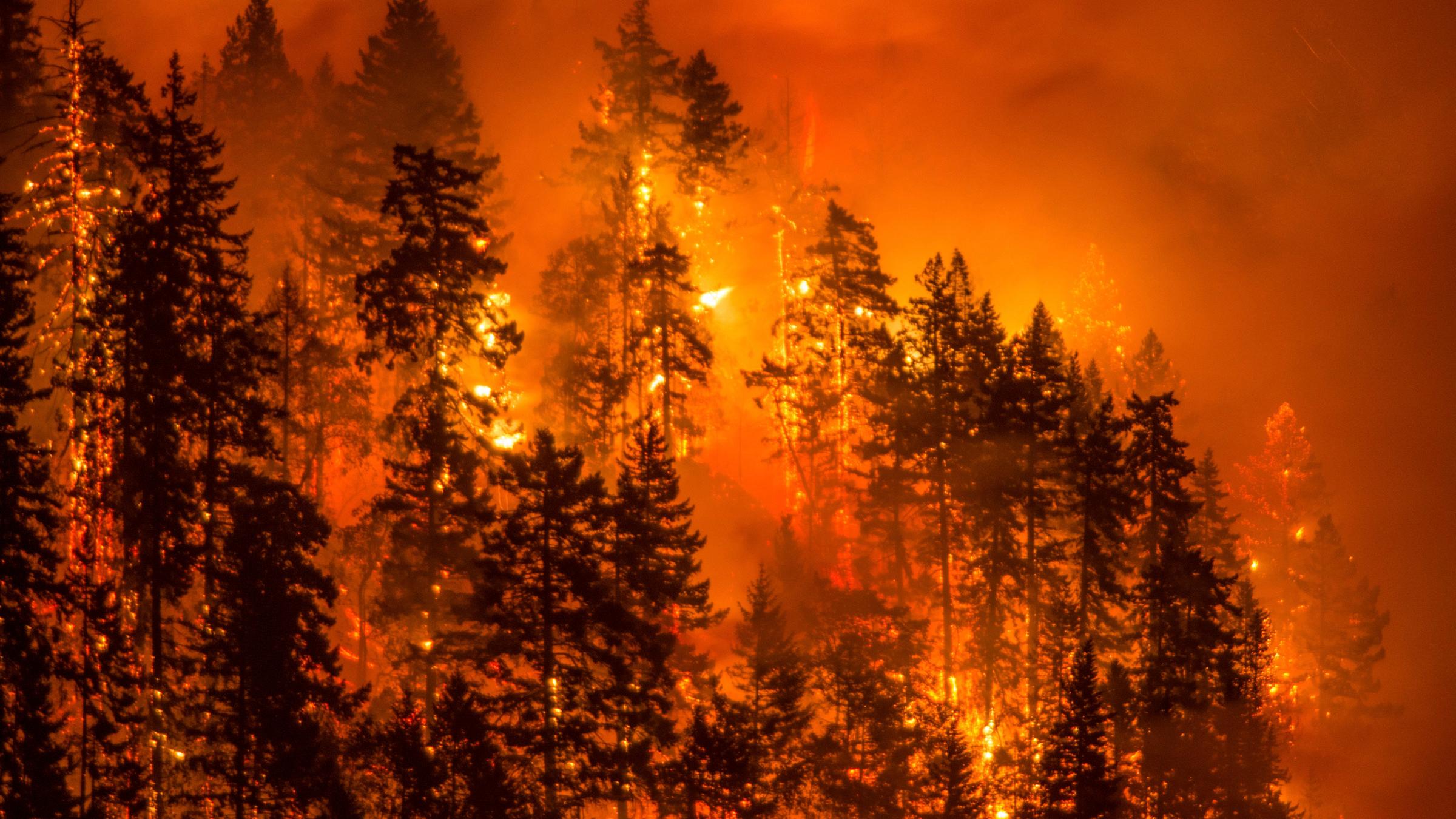 Durch die Dürre kommt es zu Bränden.