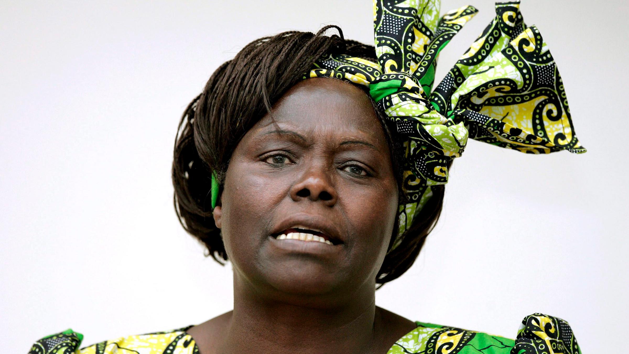Nobelpreisträgerin Wangari Maathai