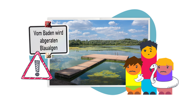 Ein Schild auf dem steht: Vom Baden wird abgeraten Blaualgen, darunter ein Warndreieck und drei Figuren die auf ein Foto von einem See mit Steg und Algen schauen.