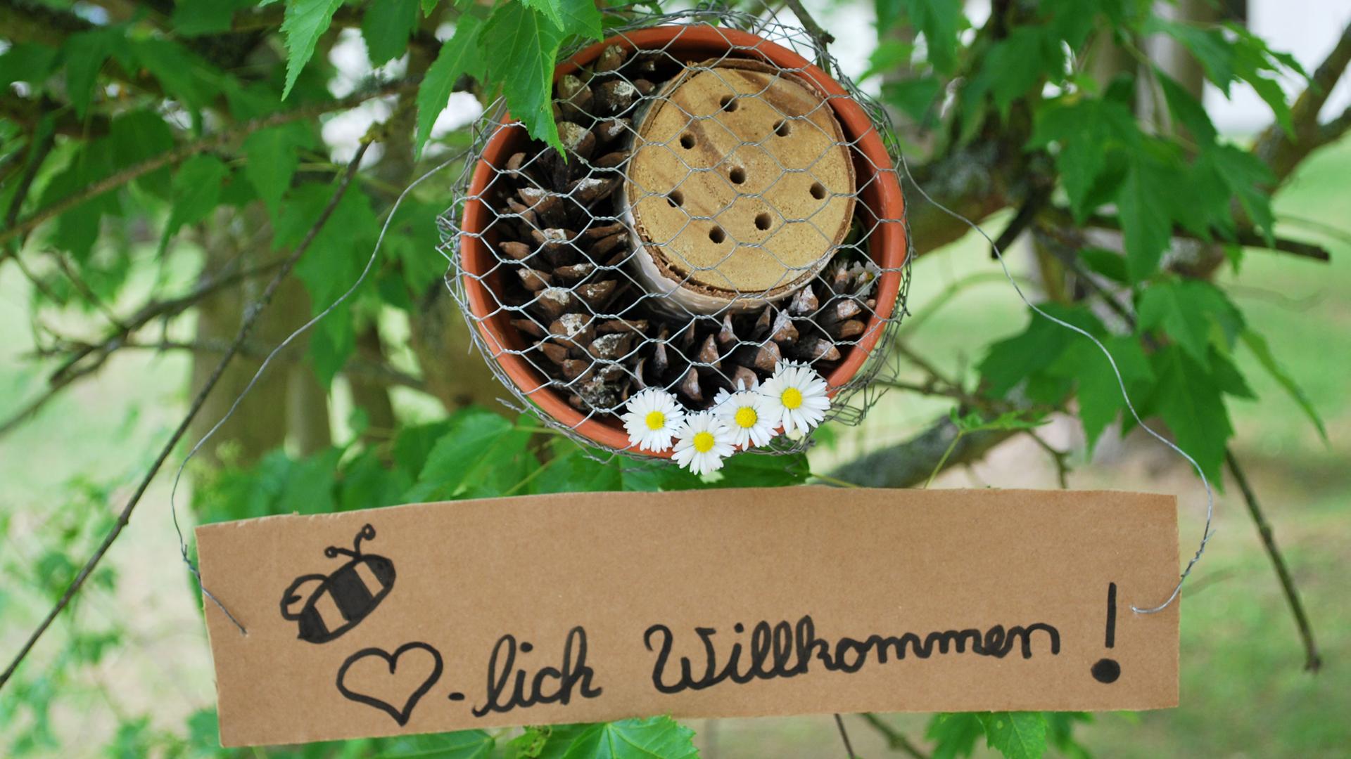 Das fertige Insektenhotel hängt im Baum