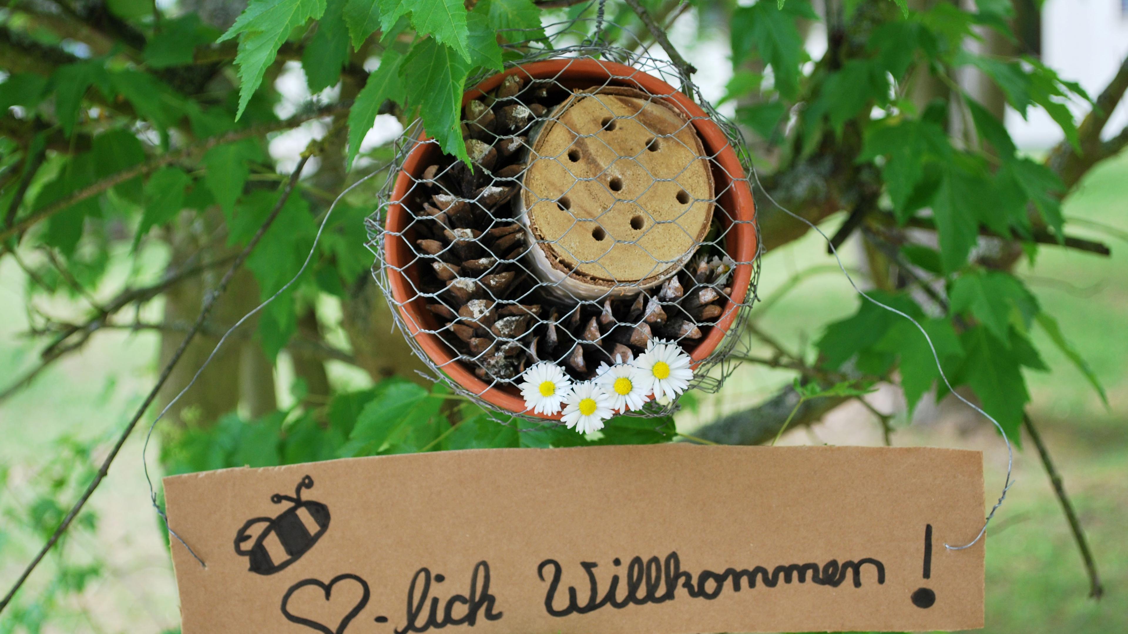 Das fertige Insektenhotel hängt im Baum