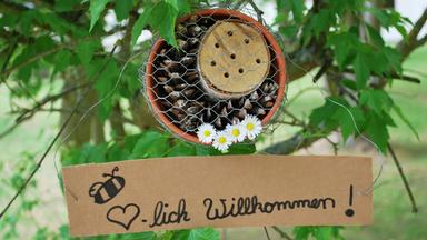 Das fertige Insektenhotel hängt im Baum