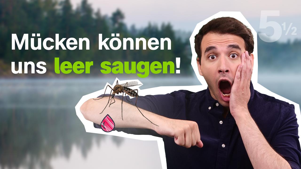 Bild für 5½ Fakten über Blut