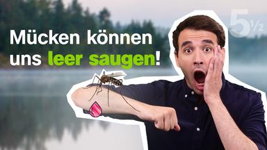 5½ Fakten über Blut