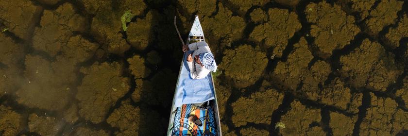 Boot fährt durch Sumpflandschaft im Irak