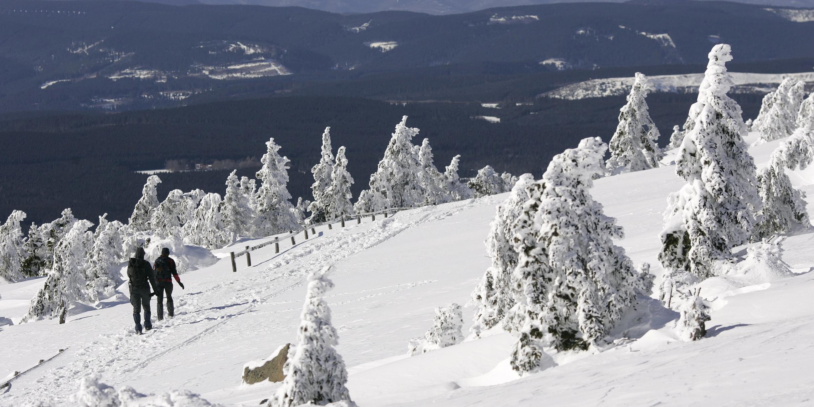Der Brocken im Harz
