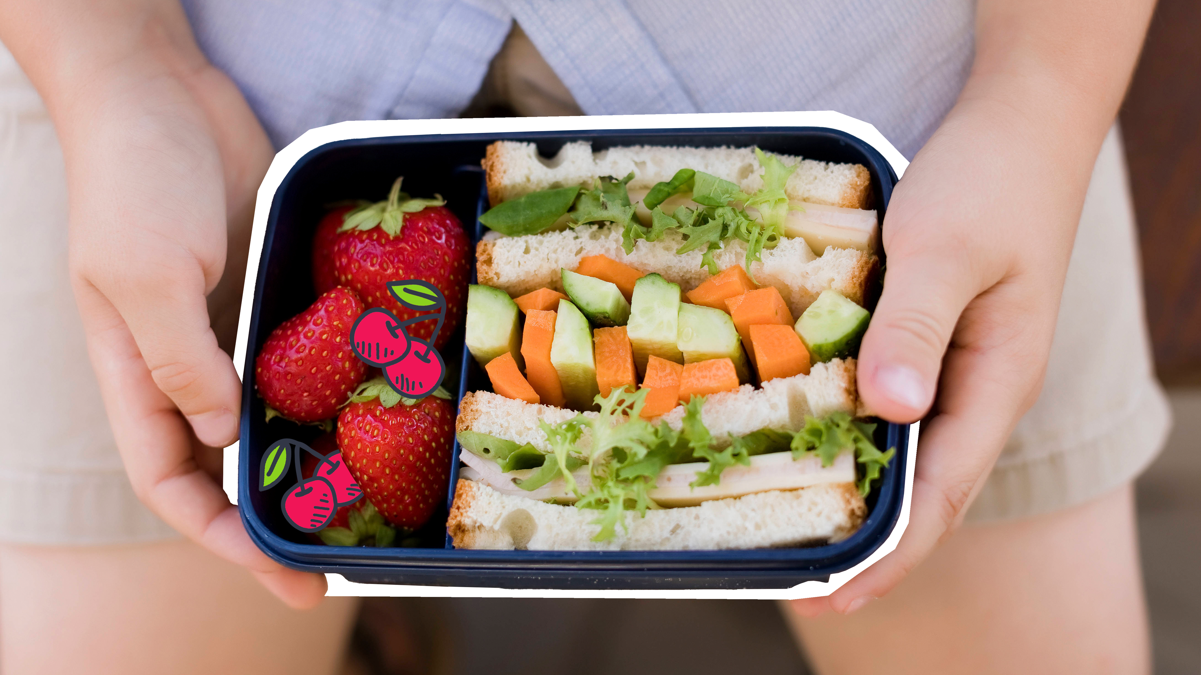 Man sieht eine Brotdose mit Obst und Broten, die ein Kind in der Hand hält.
