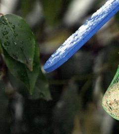 Vogelfütterung im Winter