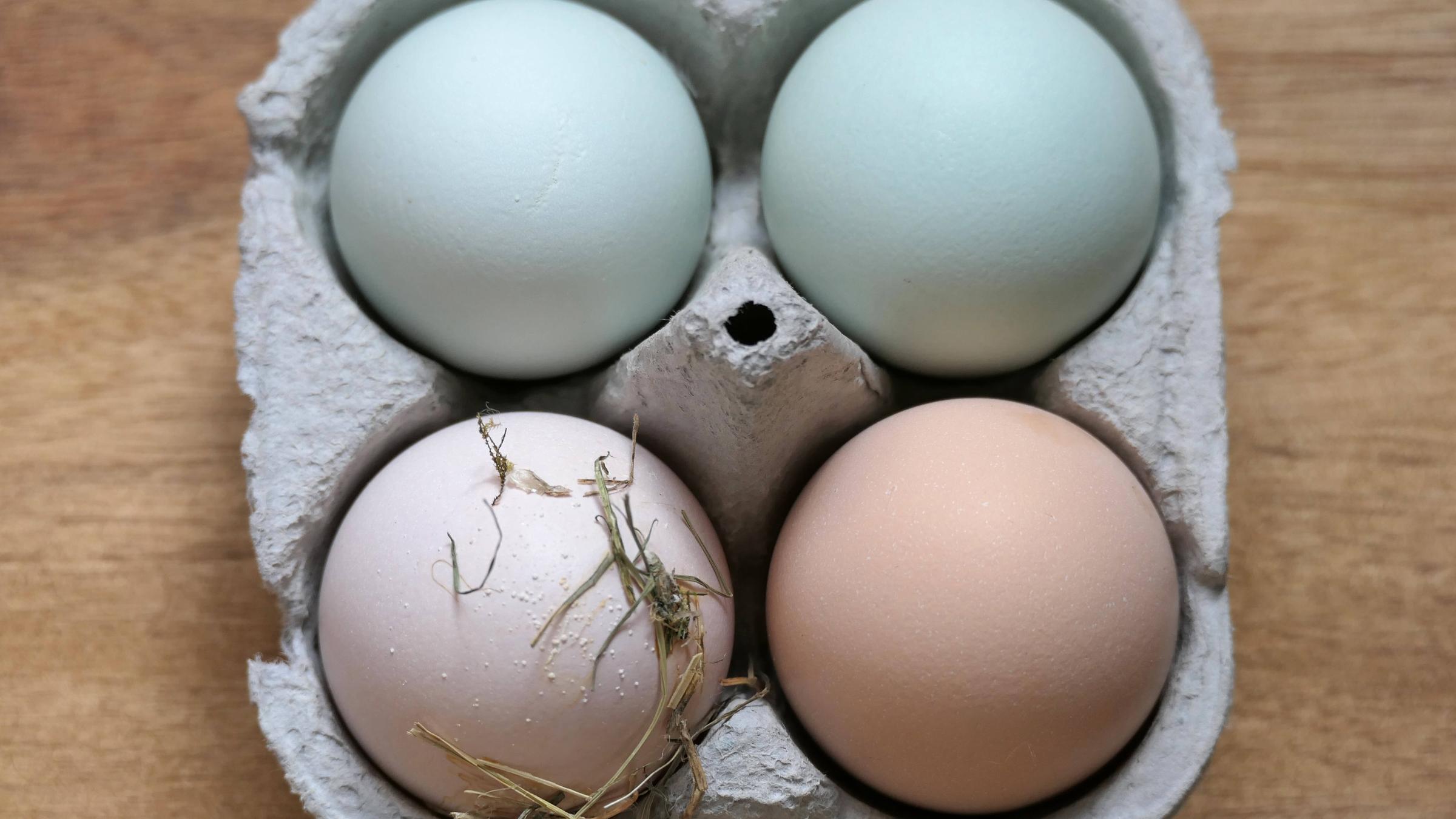 Bunte Eier aus der Natur