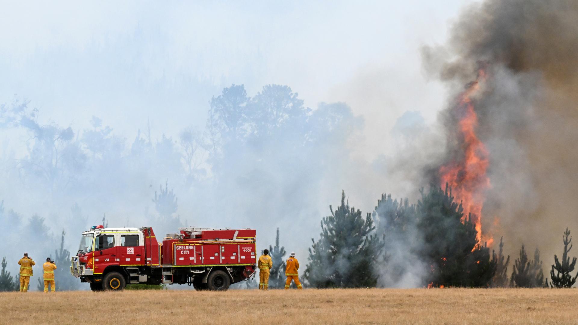 Feuerwehrleute vom Country Fire Authority stehen am 23.02.2024 am Einsatzort.