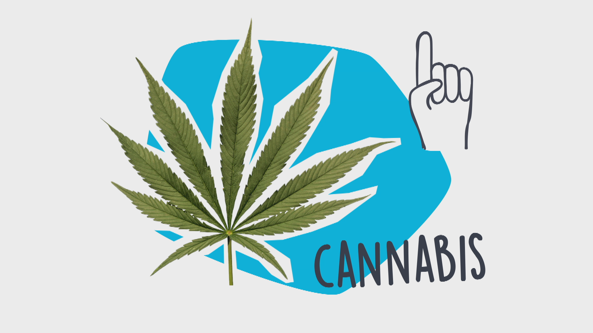 Cannabis-Pflanze mit Hand